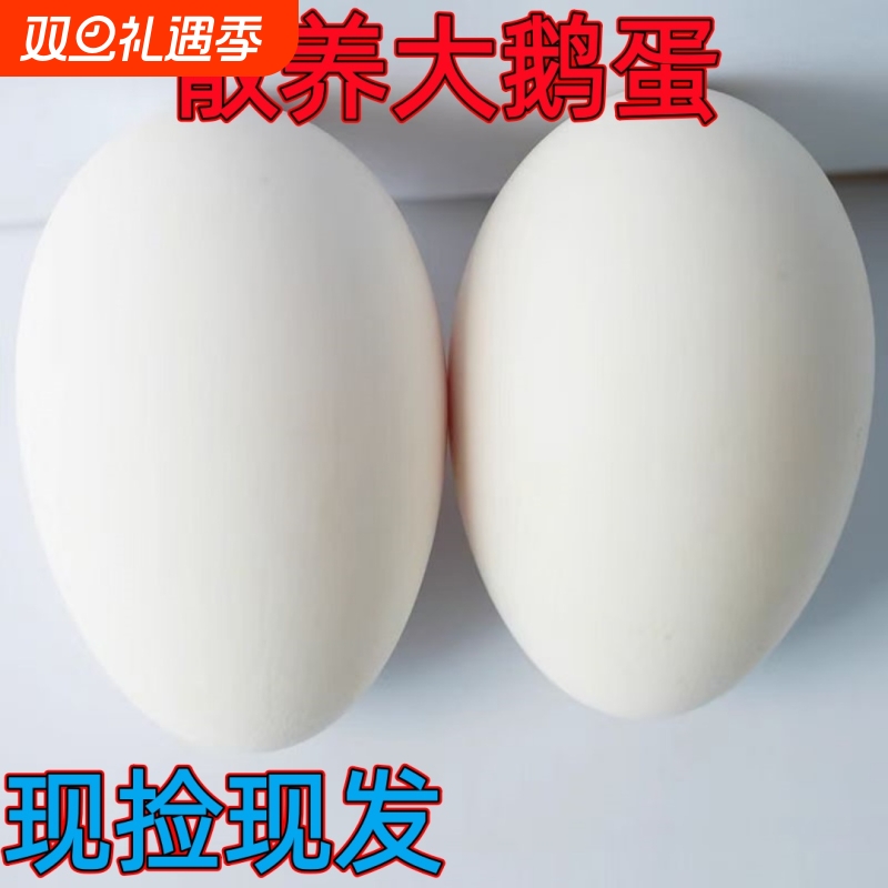 土鹅蛋农家新鲜正宗农家散养当天现捡大白鹅蛋孕妇营养