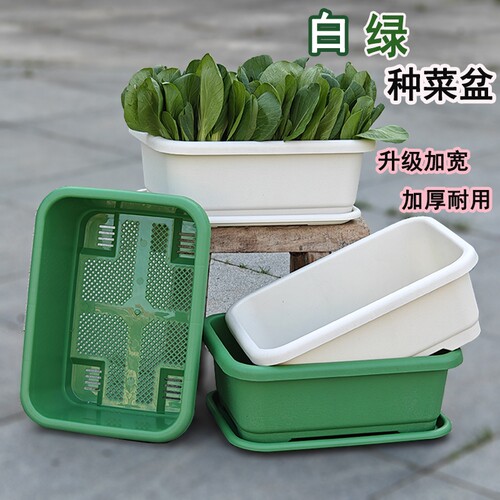 白绿长方形加厚花盆|451人收藏