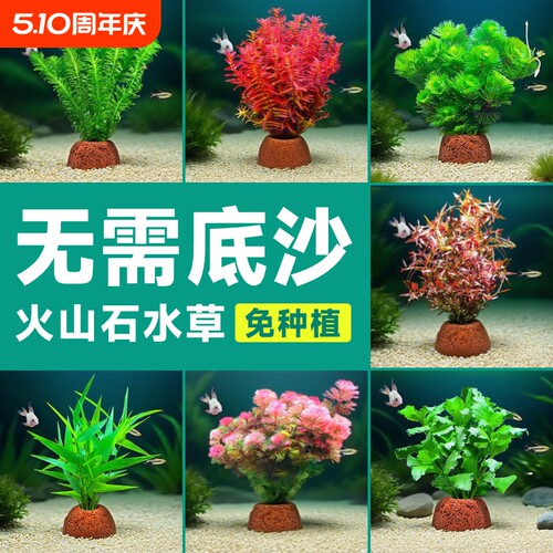 火山石水草鱼缸造景|超1万次加购