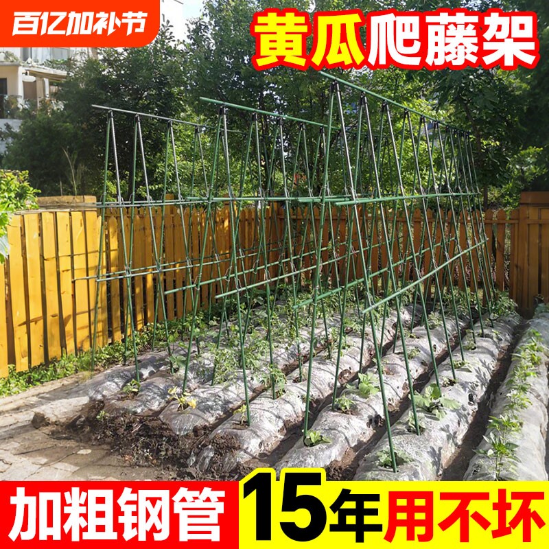 黄瓜爬藤架豆角架杆西红柿支撑杆种菜搭架子庭院葡萄种植箱爬藤架
