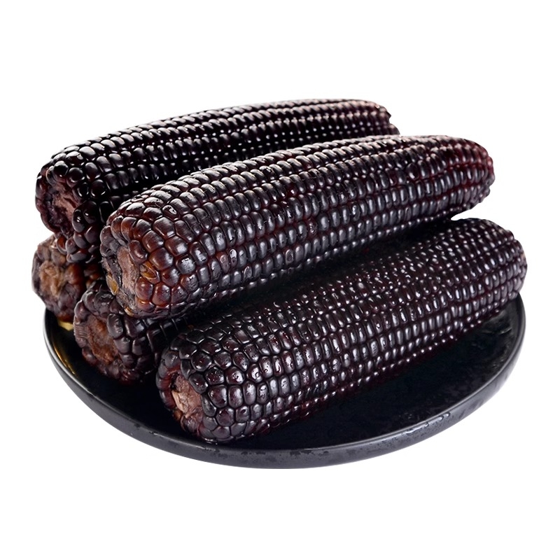 【真空锁鲜】黑糯玉米10棒 单棒180-220g