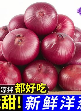 水果大洋葱新鲜蔬菜小当季