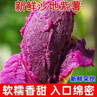 新鲜采挖沙地紫薯红薯番薯紫心大果紫罗兰蜜薯地瓜软糯香甜小山芋