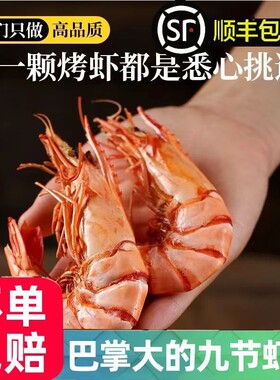 九节虾干礼盒即食特大烤虾干开袋大虾对虾斑节虾海鲜干货送人解馋