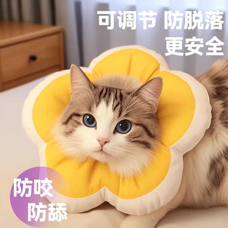 伊丽莎白圈猫绝育项圈防舔英短猫咪脖圈颈圈头套狗宠物用品太阳花
