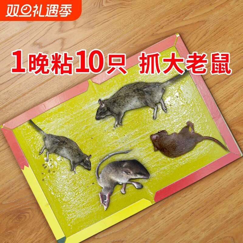 强力粘鼠板捉粘大老鼠抓鼠笼捕鼠