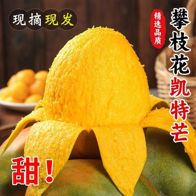 攀枝花凯特芒果9斤当季新鲜水果现摘香甜彩虹芒大青吉禄芒果整箱