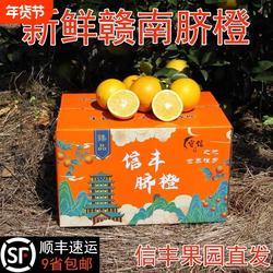 正宗江西赣南信丰脐橙10斤新鲜当季水果整箱果园直发手剥橙子甜橙