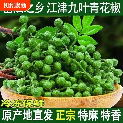 江津九叶青新鲜花椒粒餐饮专用