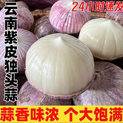 今年新挖紫皮独蒜 云南紫皮独头干蒜 圆头辛辣 当季蔬菜产地直发