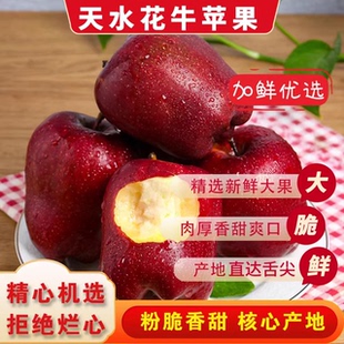 2025头茬正宗天水花牛苹果新鲜当季脆甜粉面蛇果丑苹果应季苹果