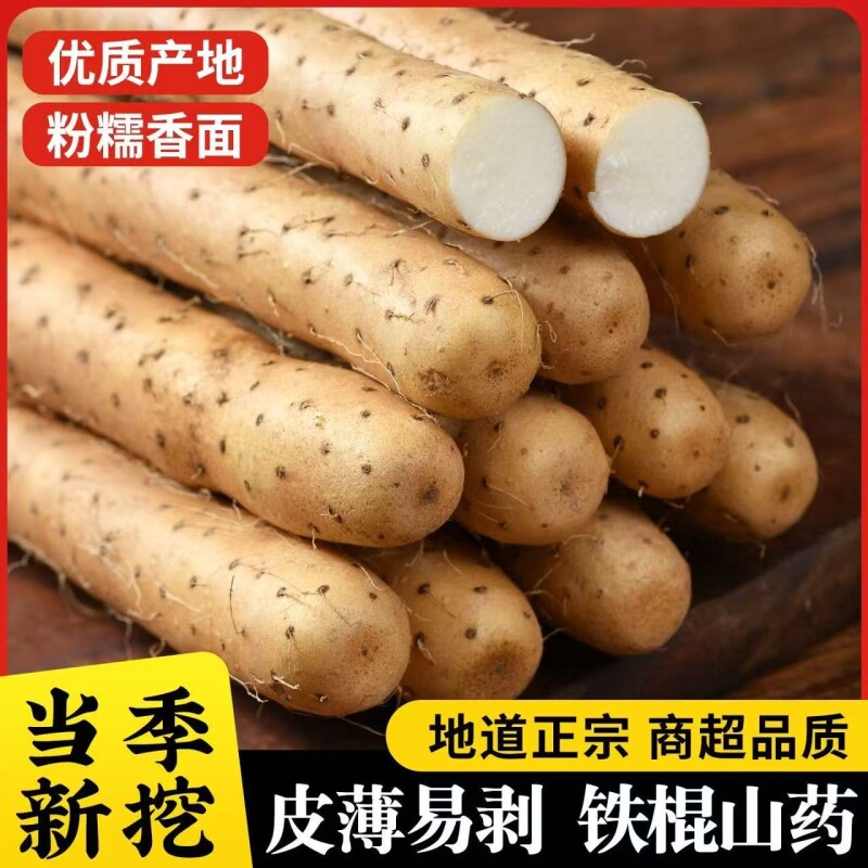 正宗非河南焦作铁棍山药新鲜垆土铁棍山药豆软糯香甜低脂代餐蔬菜