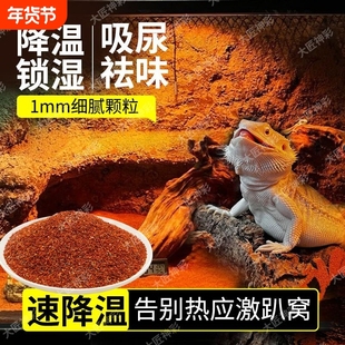 陆龟垫材鬃狮蜥蜴守宫用品爬宠沙沙漠造景装饰钙砂水质生态免洗