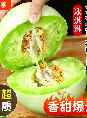山东玉菇甜瓜冰激凌软糯口感