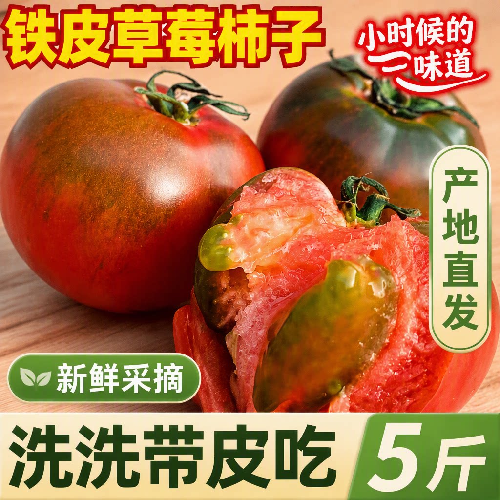正宗铁皮草莓柿子新鲜当季西红柿生吃水果东北番茄酸甜包邮现摘