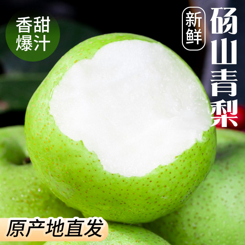 大青梨梨子新鲜水果砀山青梨皇冠梨当季翠冠梨香酥早雪梨青皮梨图片