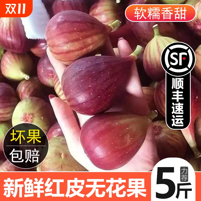 顺丰包邮 云南红皮无花果新鲜大果当季孕妇应季紫皮水果鲜果批发