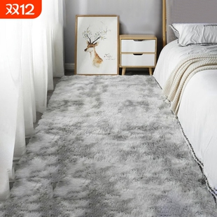 地毯卧室地垫床边毯ins客厅茶几毯房间坐垫毛绒沙发阳台防滑铺地