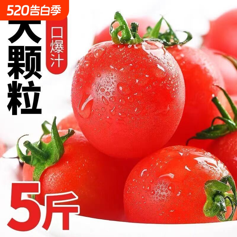 云南新鲜现摘圣女果小番茄小西红柿水果孕妇水果蔬菜整箱批发自提
