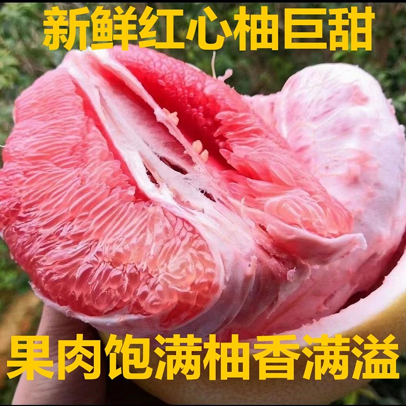 现摘现发红心蜜柚大个3斤新柚子果王款