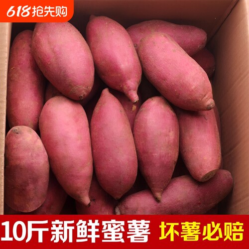 红薯新鲜蜜薯地瓜板栗沙地糖心农家自种番薯现挖烟薯香薯山芋