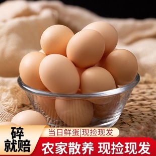 长寿之乡新鲜鸡蛋30个装大个均45g-50g土鸡蛋柴散养营养健康农家