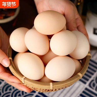 五谷喂养林间土鸡蛋新鲜鸡蛋农村笨鸡蛋农家散养柴鸡蛋营养健康
