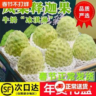 【鲜仑】凤梨释迦果5斤礼盒云南牛奶番荔枝新鲜孕妇水果顺丰包邮