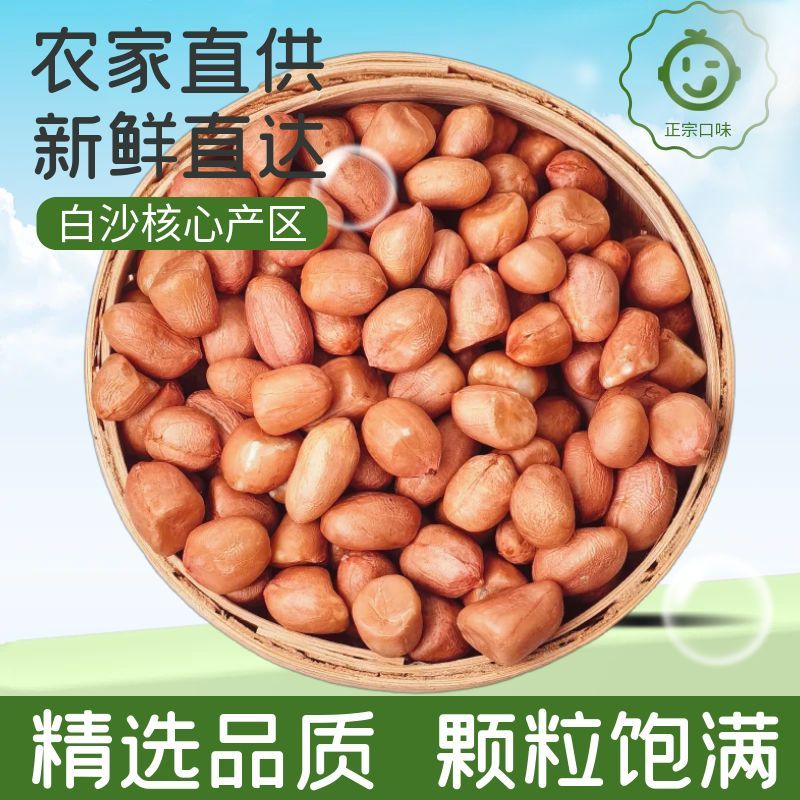 河南白沙花生米饱满当季新花生仁脱壳自产自销批发商用可榨油