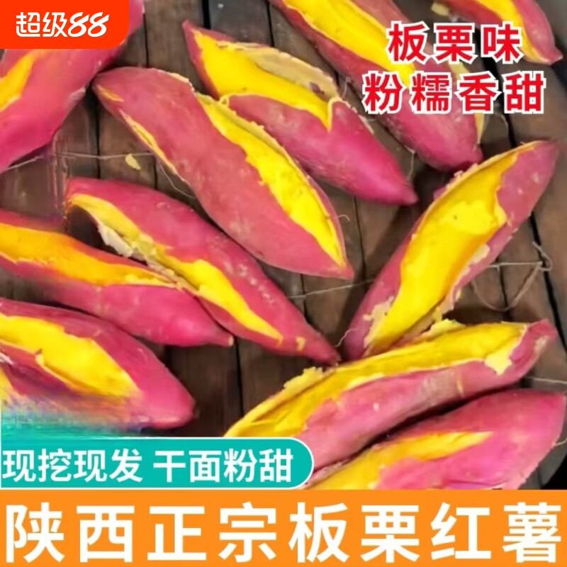 新鲜现陕西板栗红薯地瓜粉糯干面香甜山芋板栗红薯番薯农家自种图片
