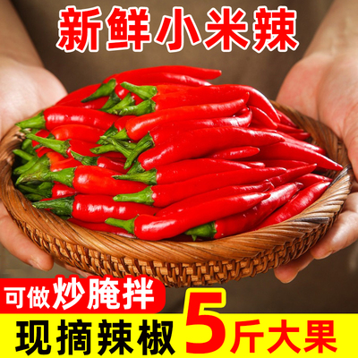 小米辣椒新鲜5斤朝天椒特辣泡椒红小尖椒指天椒红辣椒10小米椒