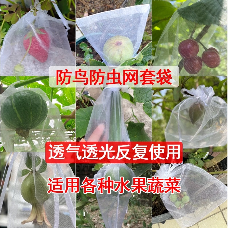水果套袋果实网袋番茄葡萄无花果草莓防虫防鸟保护袋透气网套小型