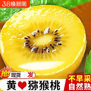 黄心猕猴桃新鲜包邮特大果整箱阳光金果奇异果猴猕桃孕妇当季水果
