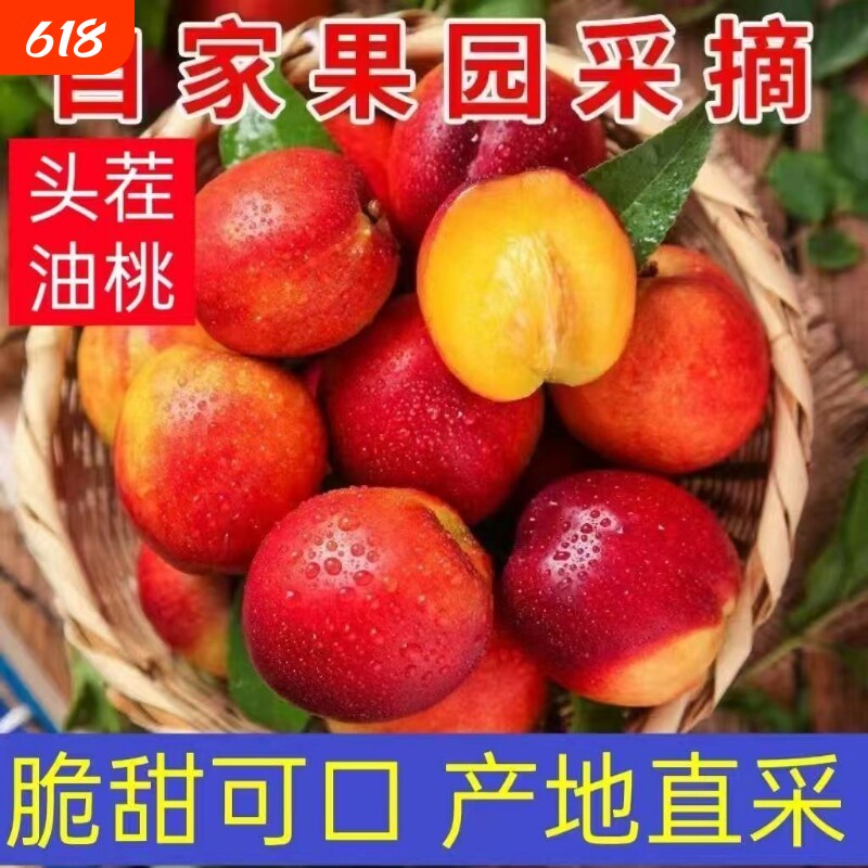 正宗云南黄心油桃新鲜桃子5斤脆桃应季新鲜水果产地直发整箱包邮