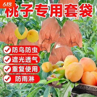 桃子套袋专用袋水果防鸟防虫神器水蜜桃黄桃梨子专用网袋纸袋果子