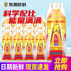 东鹏特饮500ml瓶装维生素功能饮料提神能量开车抗疲劳冰镇牛磺酸