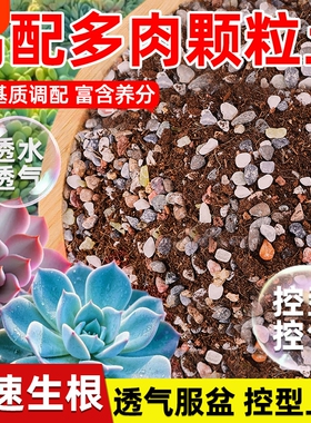 多肉颗粒土专用营养土植物泥炭种植叶插小苗颗粒花土多肉土基质