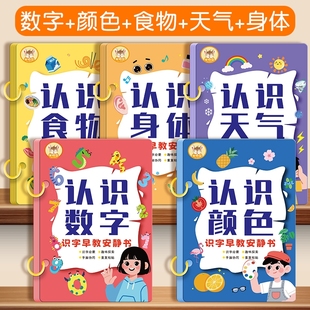 识字书幼儿认字启蒙早教安静书儿童 3岁幼儿园宝宝认知卡撕撕书