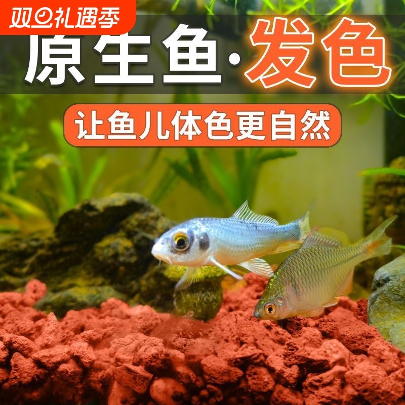 火山石鱼缸造景底砂装饰石头古法养鱼滤材专用水草泥天然底沙颗粒