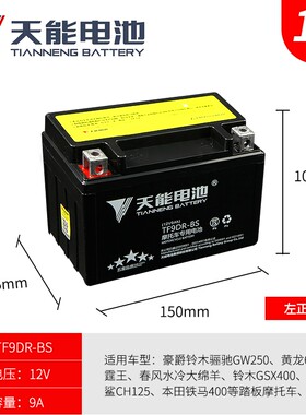 摩托车电瓶ytx9-bs600黄龙通用