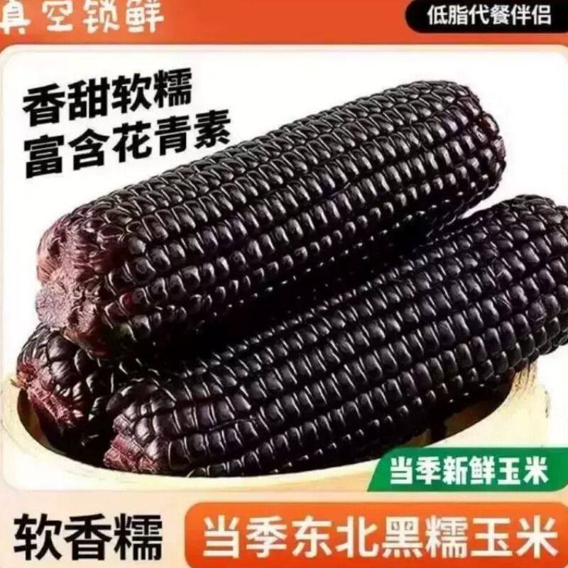 黑糯玉米东北黑玉米真空装2025新鲜加热即食黑粘玉米低脂香甜代餐