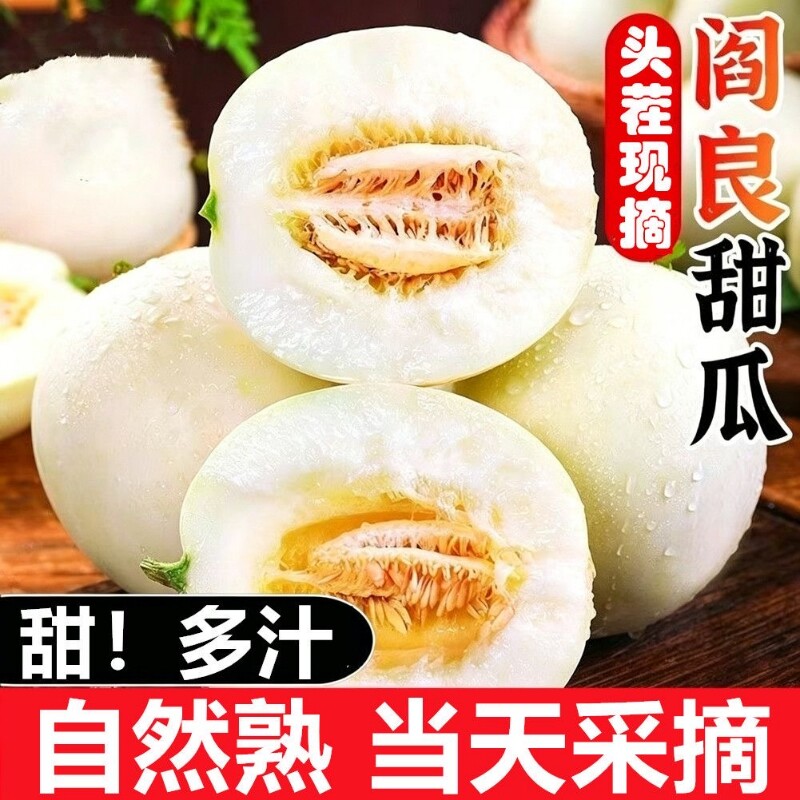 陕西阎良甜瓜新鲜香瓜应季当季现摘时令水果头茬蜜蜜瓜脆小籽白瓜