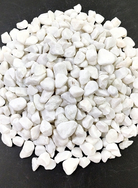 白石子鹅卵石鱼缸盆栽装饰白色大小石头花园庭院阳台园林景观室内