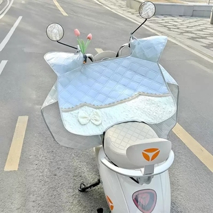 电动车挡风被夏季 通用 2025防晒女士新款 防水高颜值摩托车四季