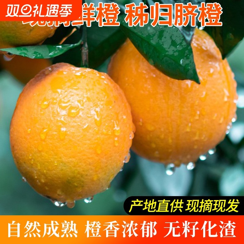 脐橙纽荷尔新鲜水果整箱包邮当季时令赣爱南媛冰糖果冻整箱橙子