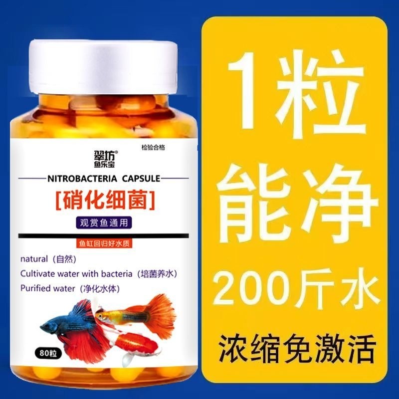 鱼缸浓缩硝化细菌胶囊鱼缸清澈净化水质养水养鱼用品水质清澈净水