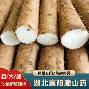 襄阳清炒脆山药新鲜粗大山药菜山药新鲜现挖涮火锅山药非铁棍山药
