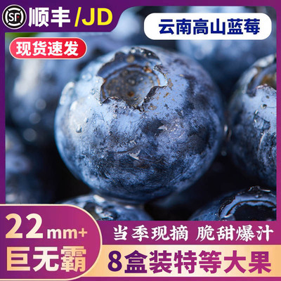 云南高山蓝莓鲜果当季怡颗蓝莓高山L25花香新鲜水果现摘整箱新鲜