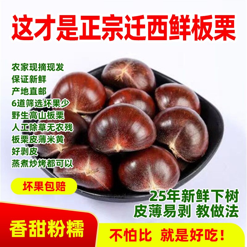 2025年现摘新货正宗迁西新鲜板栗生栗子野生河北毛栗燕山栗仁