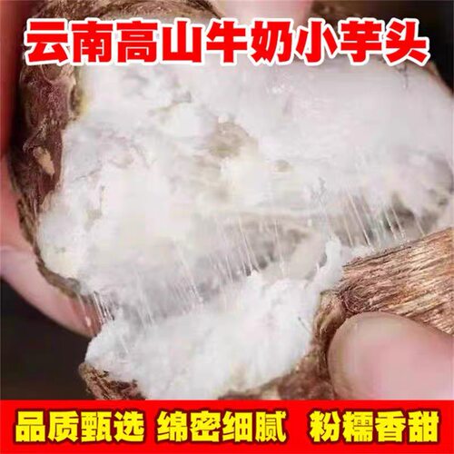 山东牛奶小芋头产地直发包邮